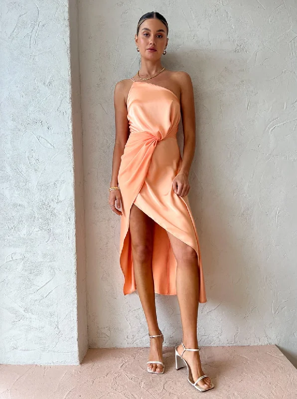 One Fell Swoop Aria Dress in Persimmon